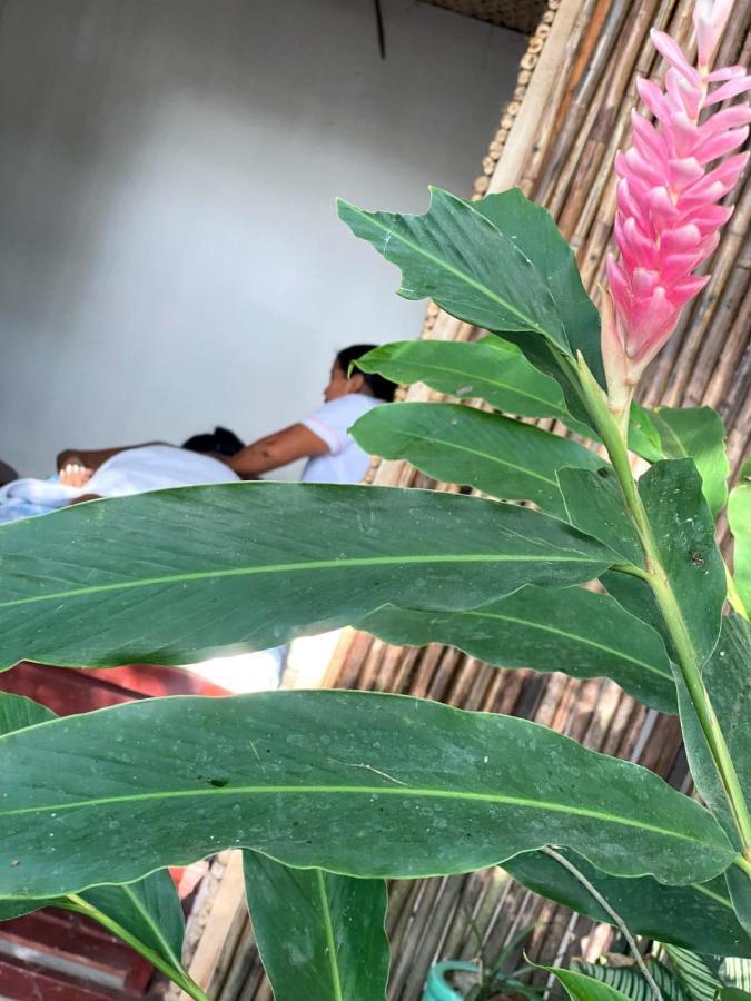 Ekaa Hotel ปาโลมิโน ภายนอก รูปภาพ